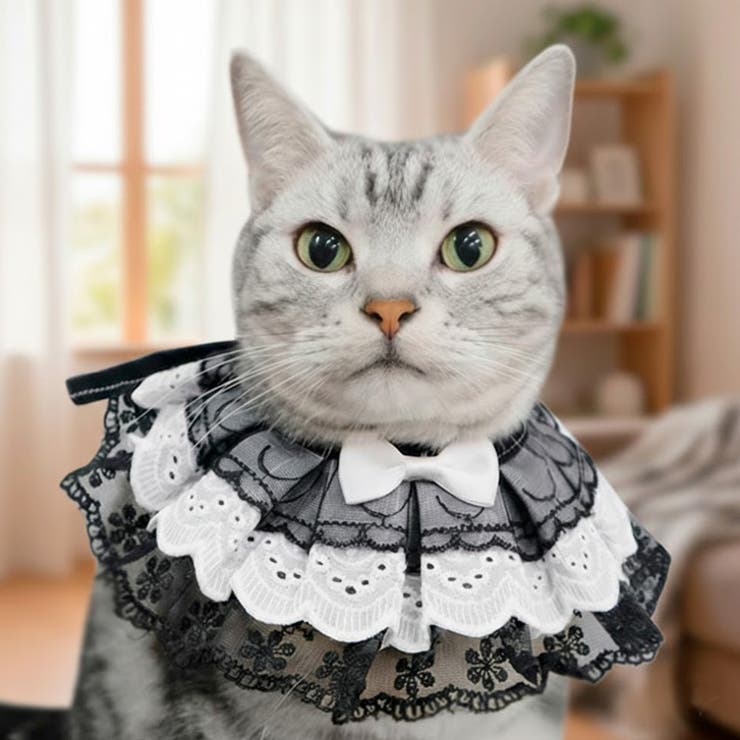 ブラック | 【p019】レーススタイ（ペット用） | SneepDip