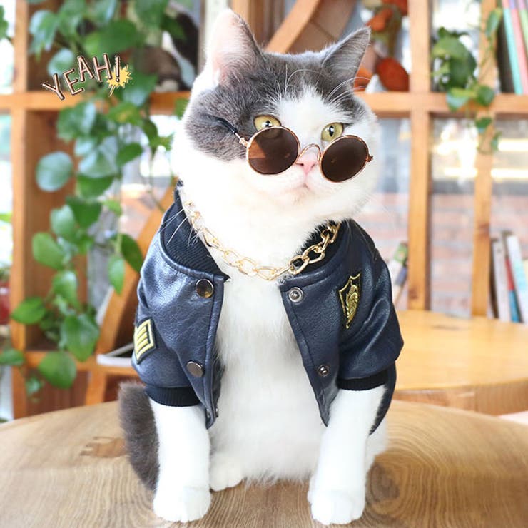 ベージュネコ目　サングラス ph-070006020_5.jpg