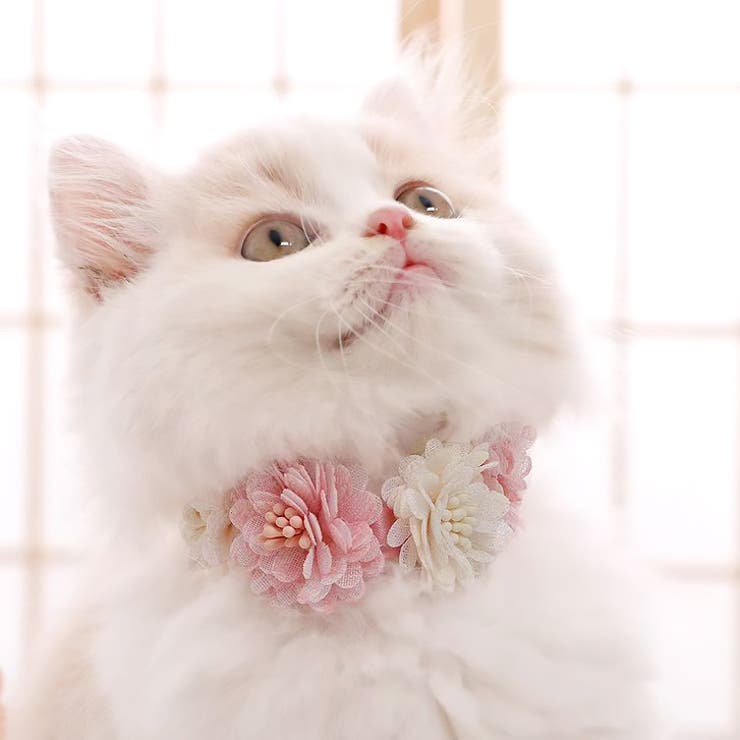 【p034】 フラワーアクセサリー(ペット用) 	 | SneepDip | 詳細画像2 