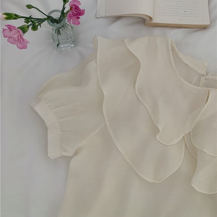 【赤字覚悟！処分セール】トップスシースルーシフォンシャツ半袖カジュアル日焼け止め… | 17kg | 詳細画像2 