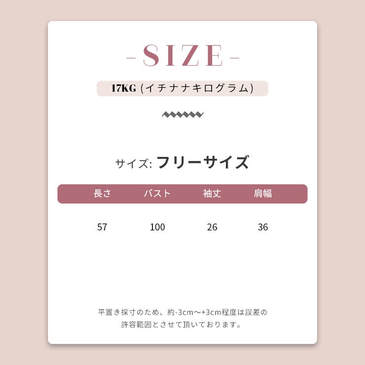 【赤字覚悟！処分セール】トップス半袖シャツ刺繍ブラウス花柄バルーン袖 | 17kg | 詳細画像48 
