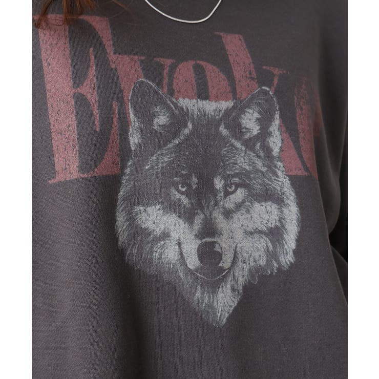 裏起毛WOLFスウェット | SpRay | 詳細画像6 