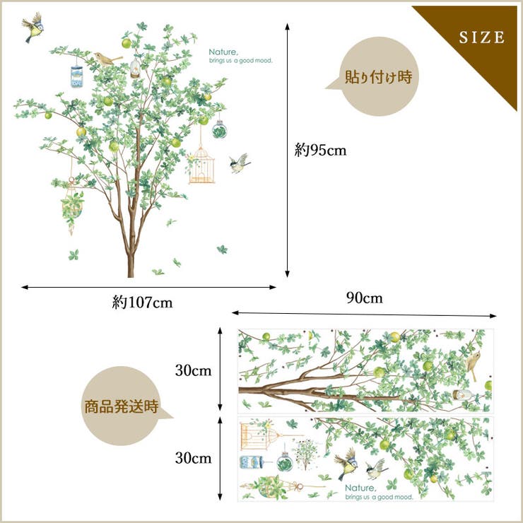ウォールステッカー Tree＆bird 植物 | くれあぽけっと | 詳細画像3 
