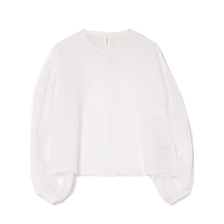 ホワイト | シャツ ブラウス シアー | STYLEBLOCK