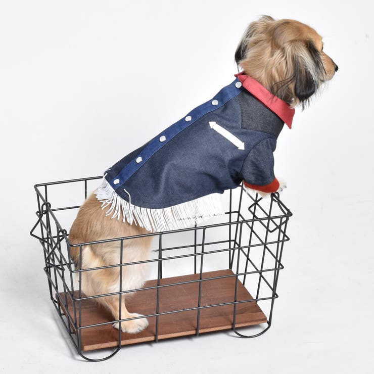 マルチ | 別注 ウエスタンシャツ ドッグウェア / 犬 服 | SVEC