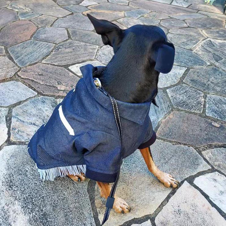 別注 ウエスタンシャツ ドッグウェア / 犬 服 | SVEC | 詳細画像24 