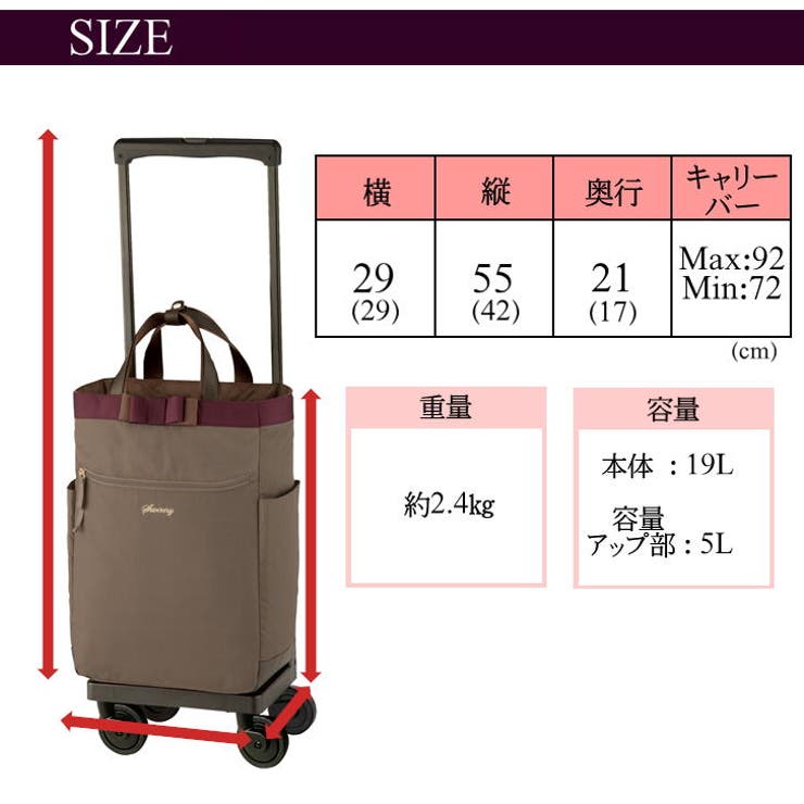 SWANY スワニー D[品番：KINW0000511]｜Tasche Jack（タッシュ