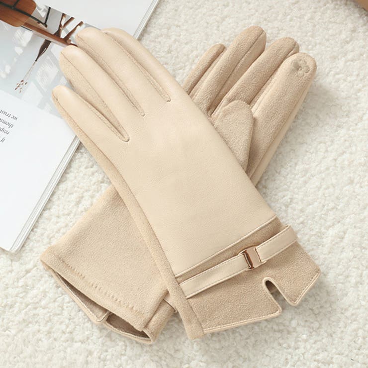 エクリュ | 手袋 レディース 全5色 | teddyshop