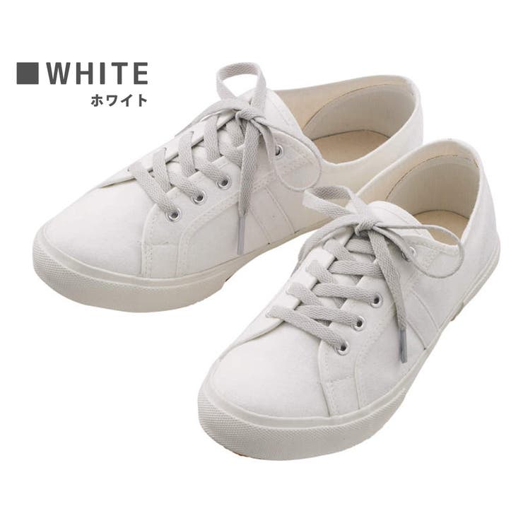 スニーカー キャンバス ローカット | teddyshop | 詳細画像4 