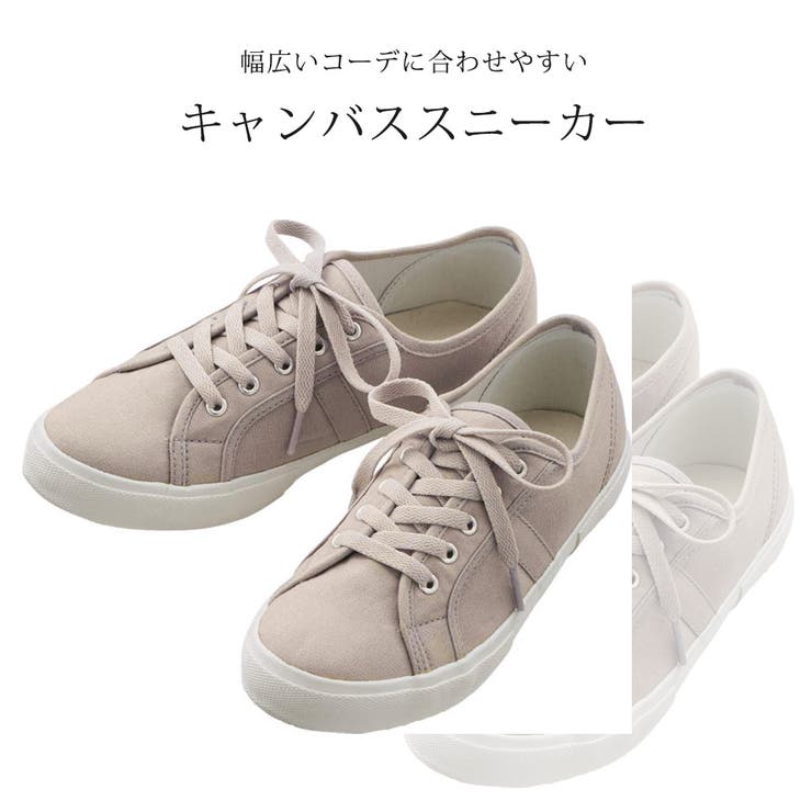 スニーカー キャンバス ローカット | teddyshop | 詳細画像11 