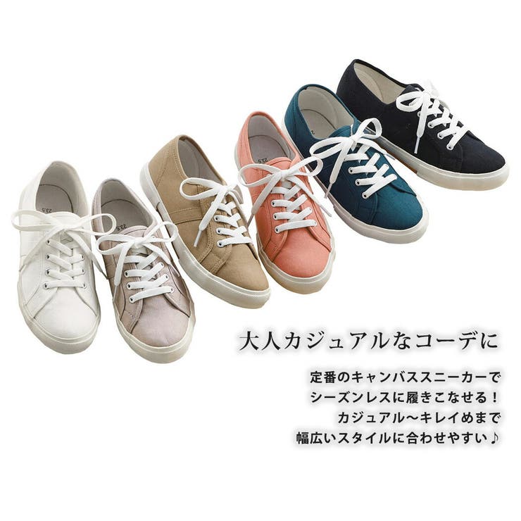 スニーカー キャンバス ローカット | teddyshop | 詳細画像12 
