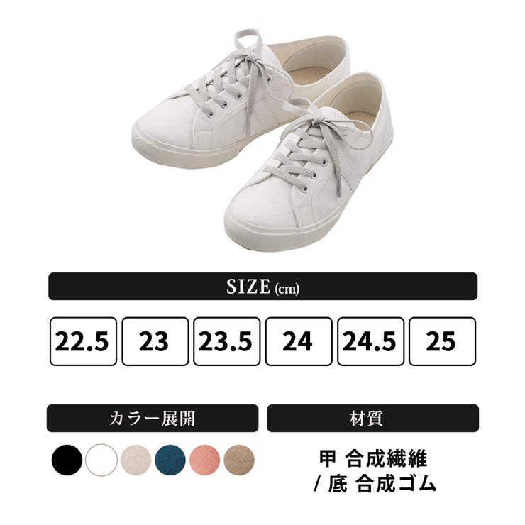 スニーカー キャンバス ローカット | teddyshop | 詳細画像13 
