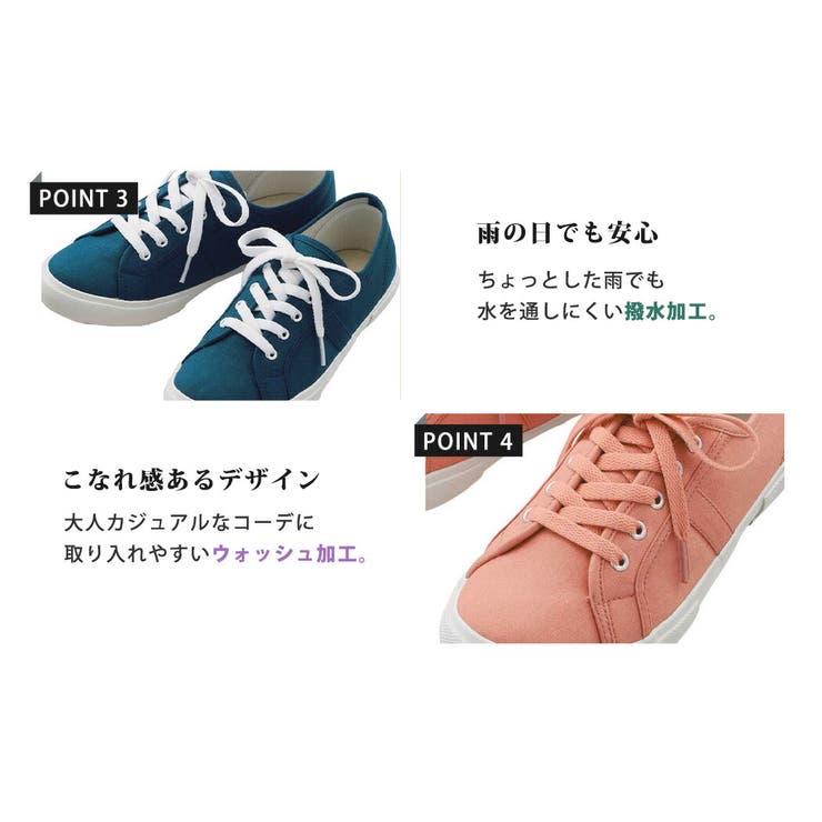 スニーカー キャンバス ローカット | teddyshop | 詳細画像15 