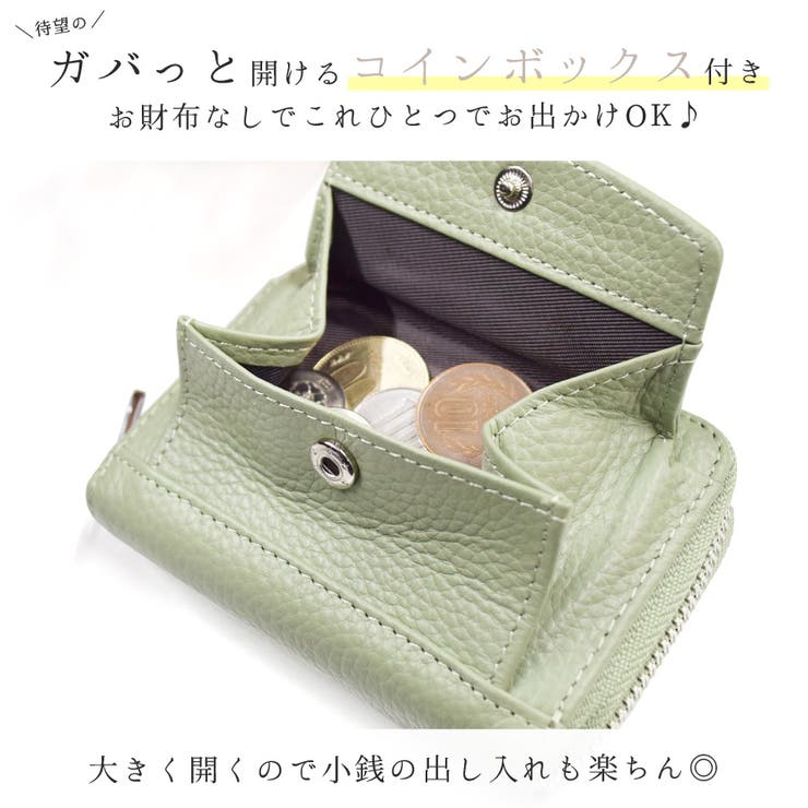 小銭入れ付き カードケース じゃばら型 | terracotta | 詳細画像6 