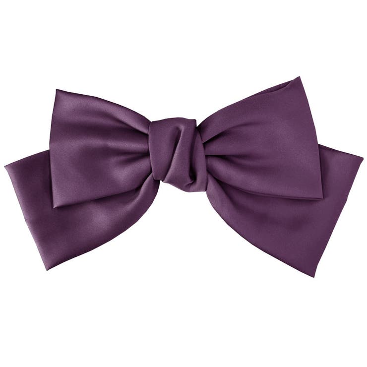 ４．パープル | ヘアゴム ヘアフック BIG | terracotta