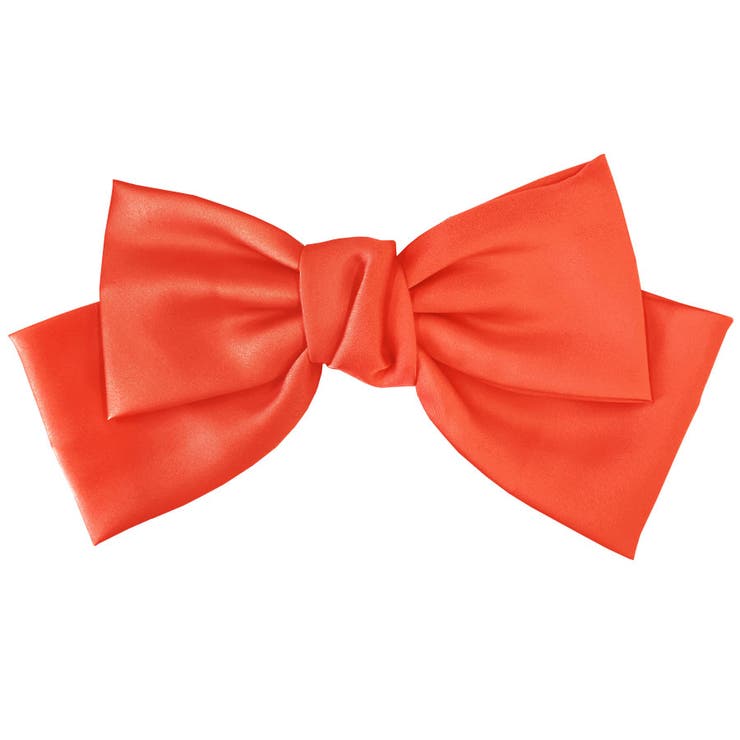 １３．サーモンオレンジ | ヘアゴム ヘアフック BIG | terracotta