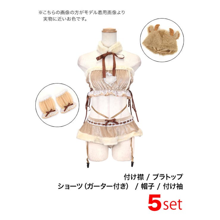 セットアップ