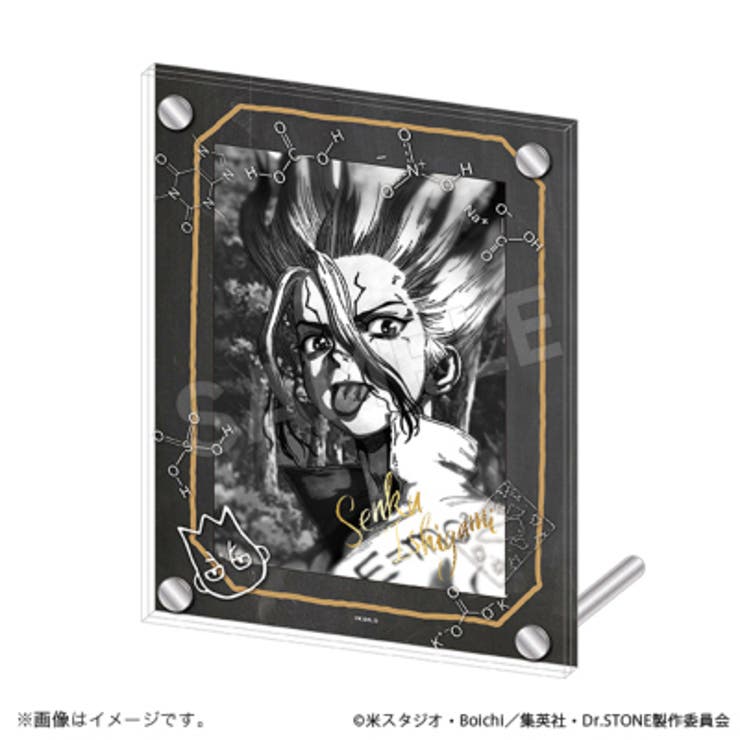 Amazon.co.jp: ドクターストーン 石神千空 ブロマイド アクリル