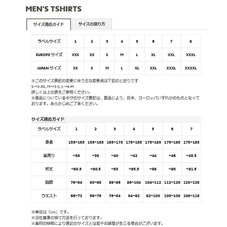 ラコステ Tシャツ ベーシッククルーネック[品番：TRYW0010946]｜つるや