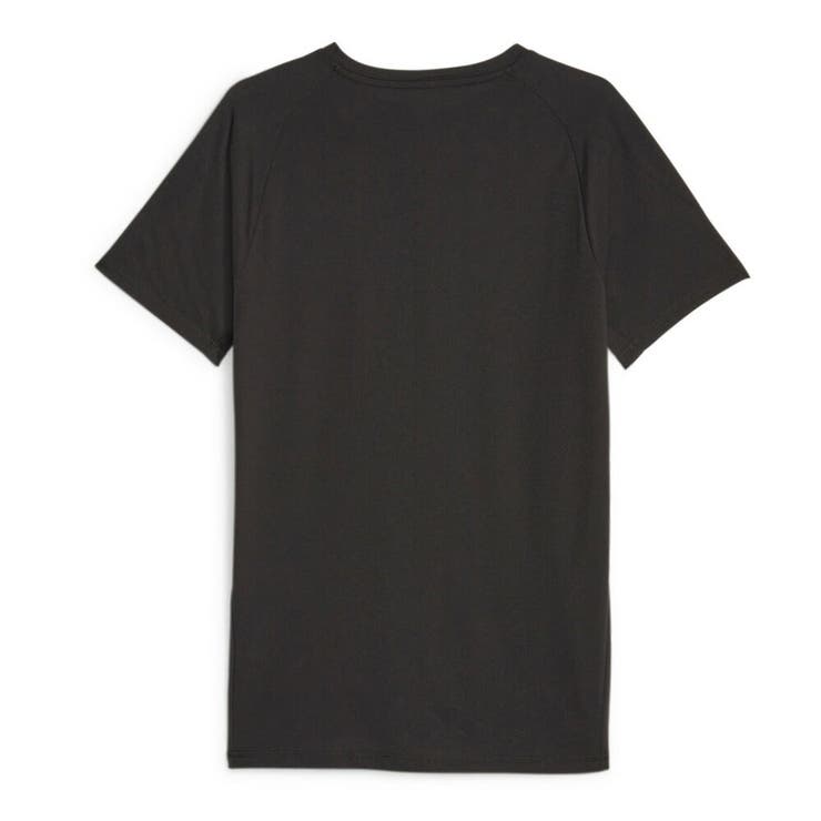 プーマ Tシャツ メンズ エヴォストライプ PUMA EVOSTRIPE[品番