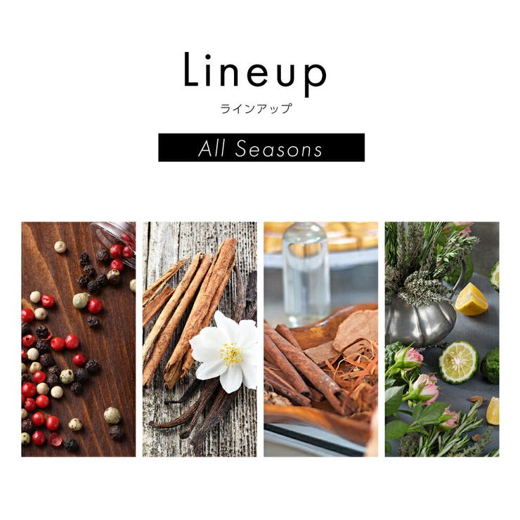 バオバブコレクション BAOBAB COLLECTION | U-STREAM | 詳細画像3 