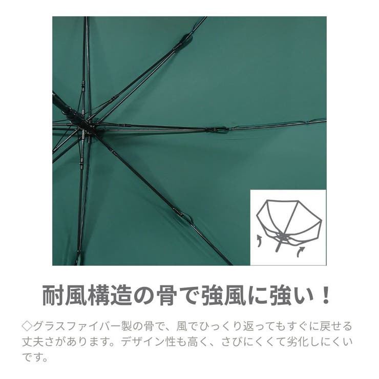 チャンピオン 男女兼用 無地 ガレッジロゴ ステッチ 耐風 ジャンプ長傘 | アンビープラス | 詳細画像2 