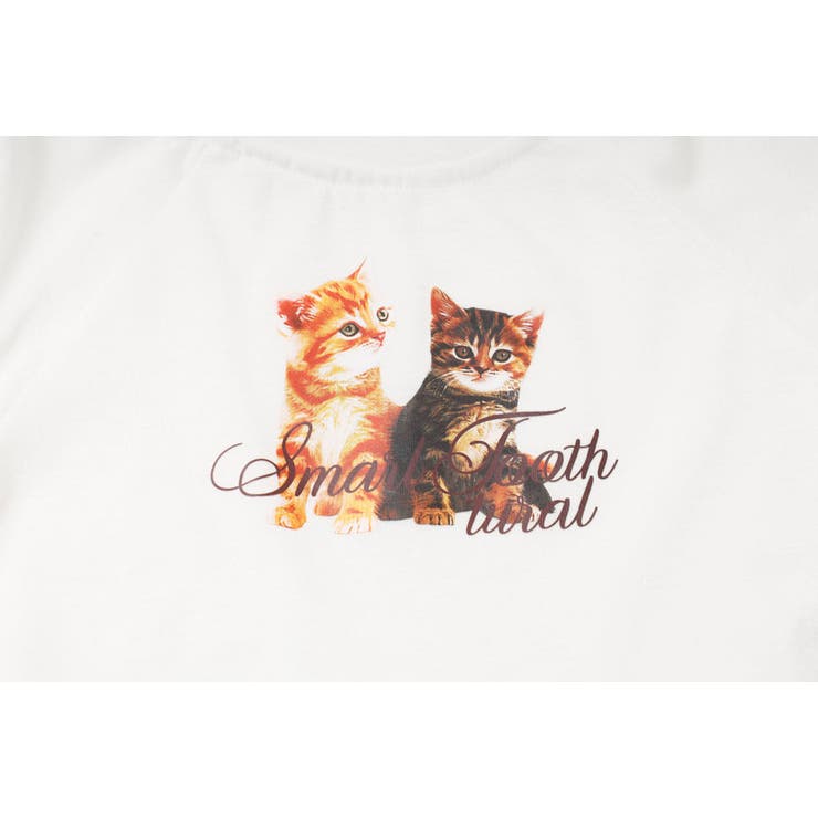【2点セット】レースフリルドッキングキャットプリントTシャツ＋デニムショートパン… | URBAN CHERRY | 詳細画像20 