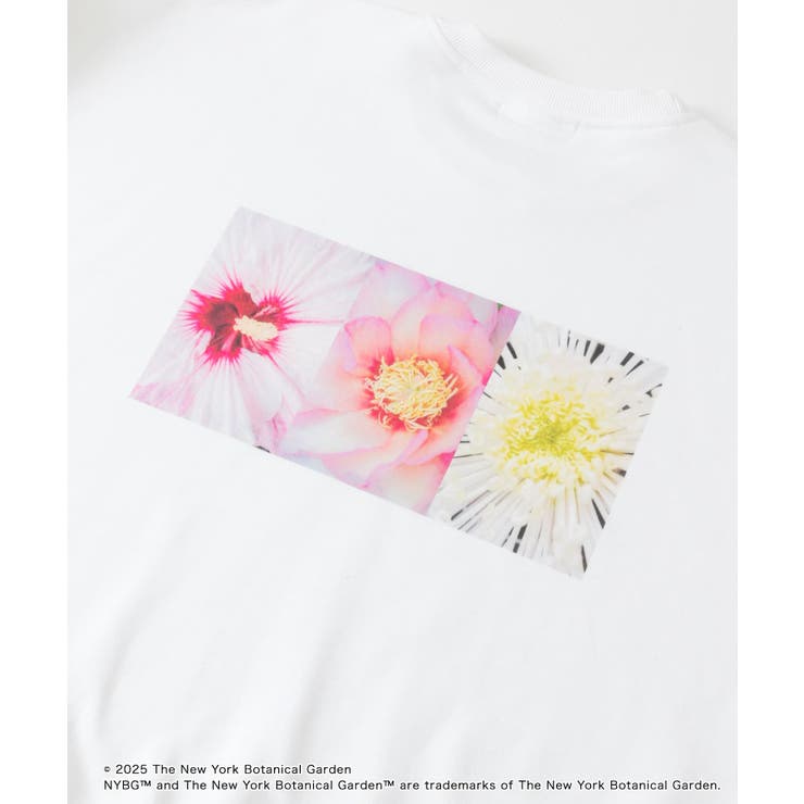 NYBG クルーネックルーズスウェットA[品番：UBRW0012877]｜SENSE