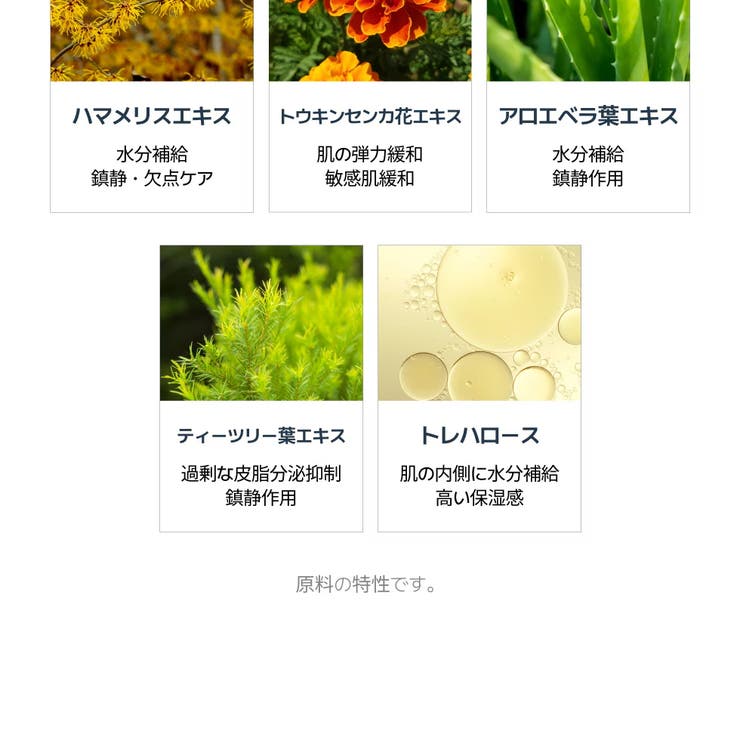 T AC バランシング | VICLE | 詳細画像6 