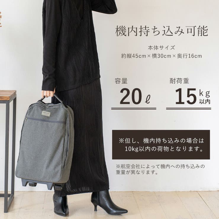 ソフトキャリーカート（20L）[品番：VI000007121]｜Vita Felice