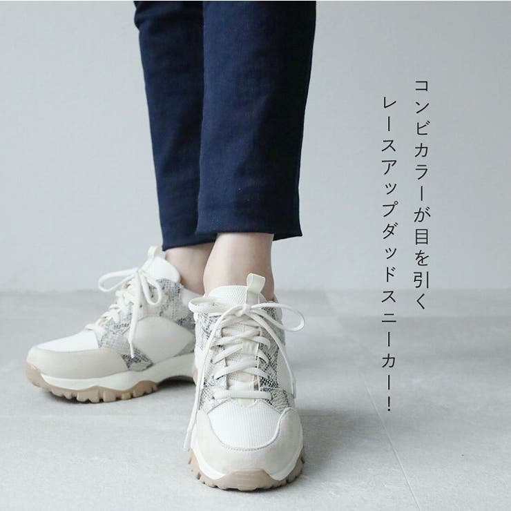 古典 メッシュコンビレースアップダッドスニーカー[品番：VIVS0000605 靴
