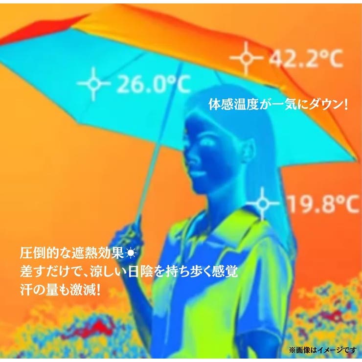 【完全遮光晴雨】兼用コンパクト日傘（アイボリー） | VIXY  | 詳細画像5 