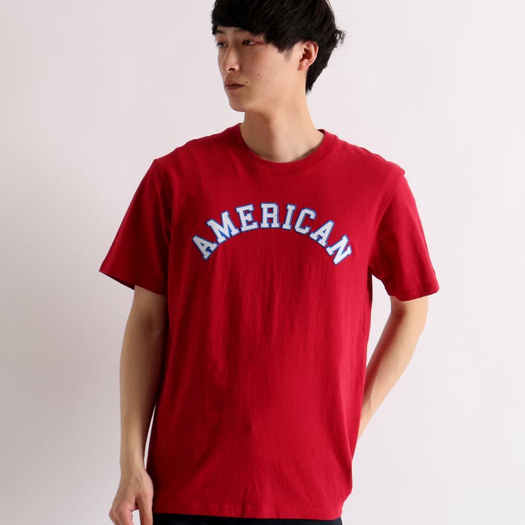 ウィゴー tシャツ メンズ usa