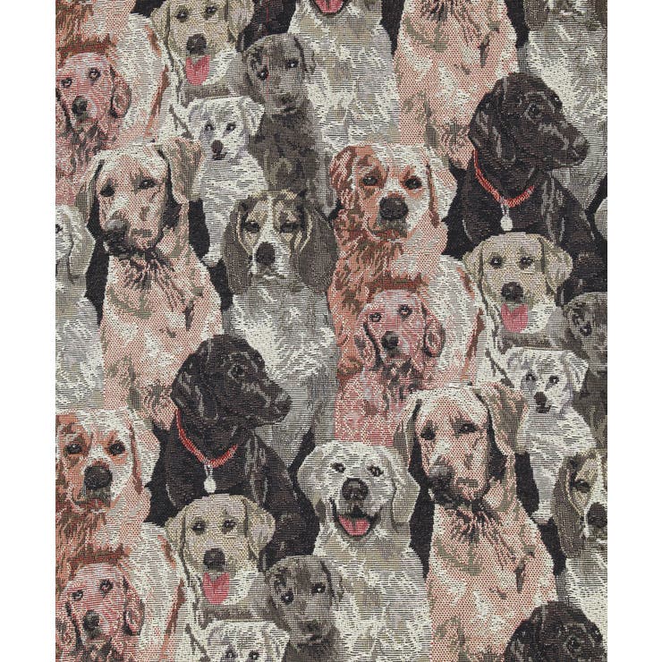 WC】アニマルゴブランパンツ[品番：WG010082211]｜WEGO【WOMEN