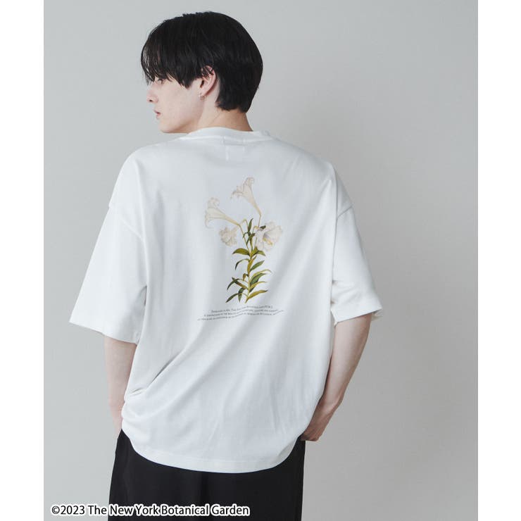 柄3