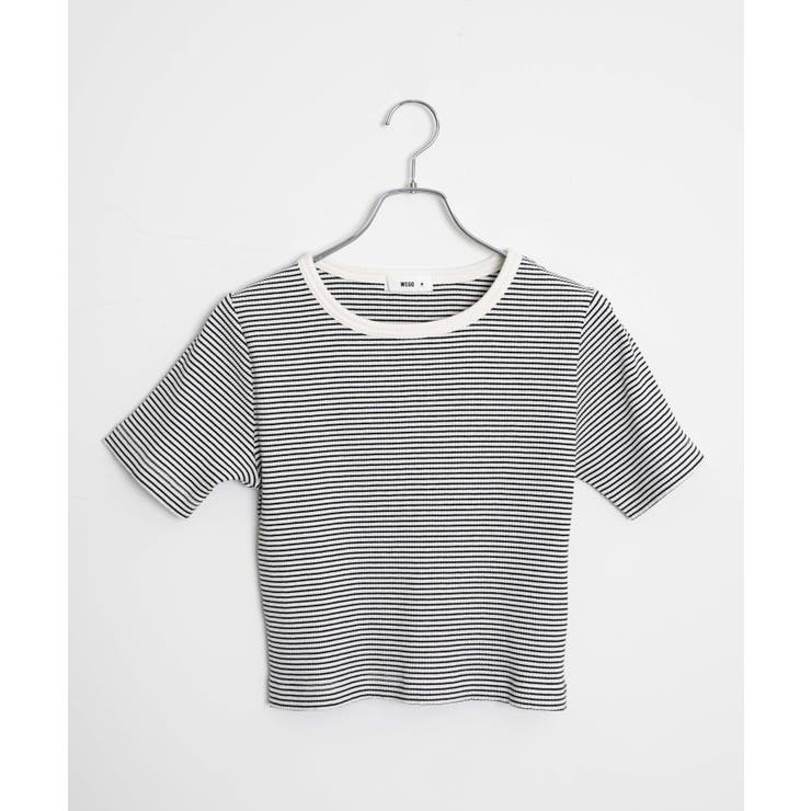 コンパクトリブT | WEGO【WOMEN】 | 詳細画像48 
