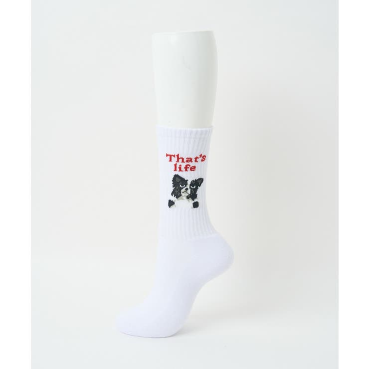 グラフィックデザインソックス(R) | WEGO【MEN】 | 詳細画像9 