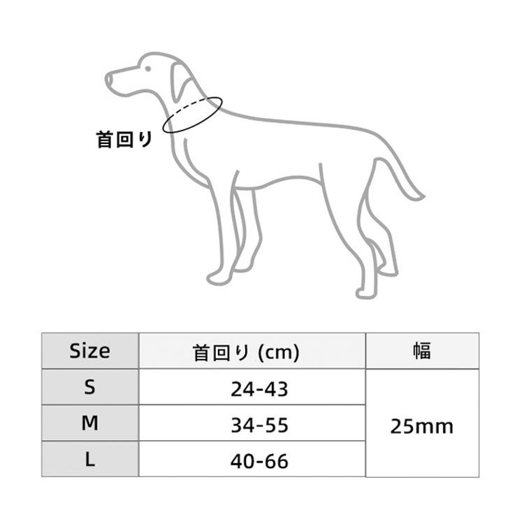 ペット 首輪 犬 カラフル シンプル 小型犬 中型犬 大型犬 | CLARAH【WOMEN】 | 詳細画像4 