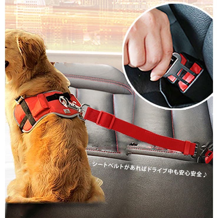 犬用 シートベルト 飛び出し防止 | CLARAH【WOMEN】 | 詳細画像10 