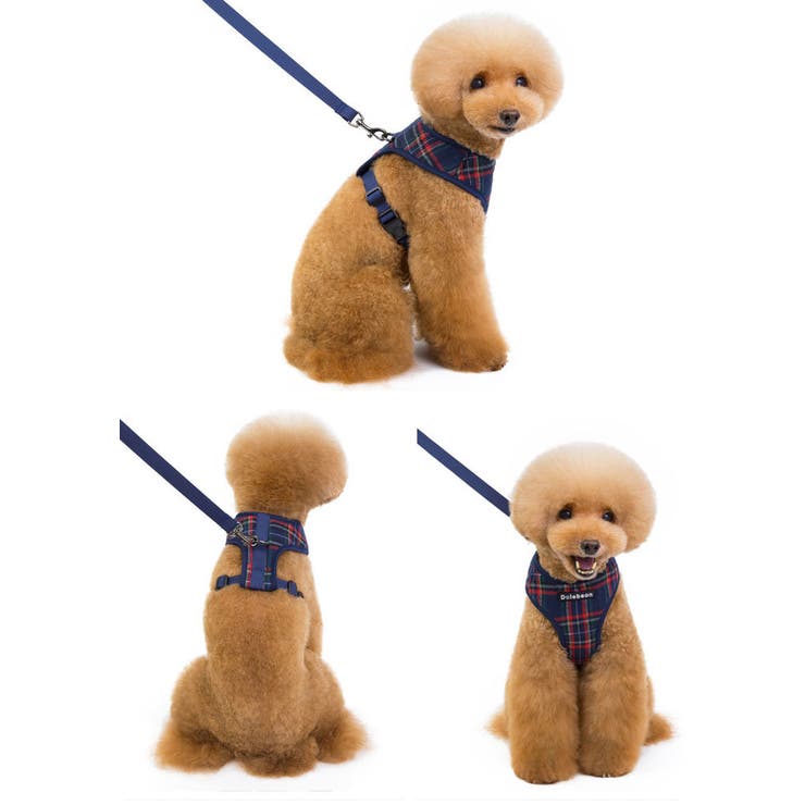 ハーネス リード 犬 | CLARAH【WOMEN】 | 詳細画像4 