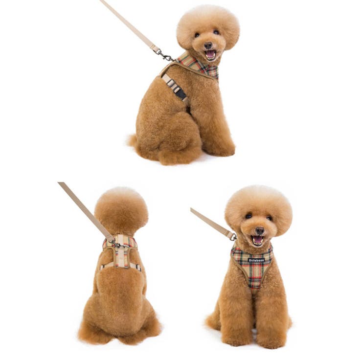 ハーネス リード 犬 | CLARAH【WOMEN】 | 詳細画像5 