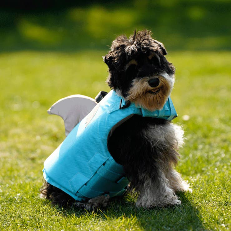 ドッグ ライフジャケット サメ | CLARAH【WOMEN】 | 詳細画像4 