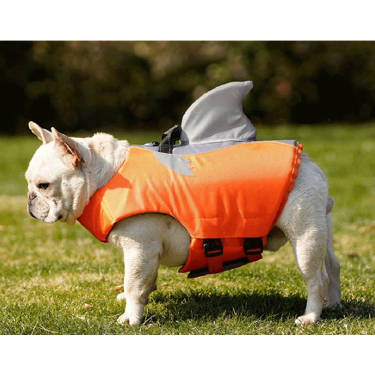 ドッグ ライフジャケット サメ | CLARAH【WOMEN】 | 詳細画像6 