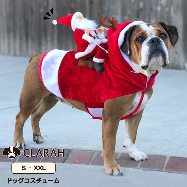 犬服 ドッグウェア クリスマス | CLARAH【WOMEN】 | 詳細画像1 