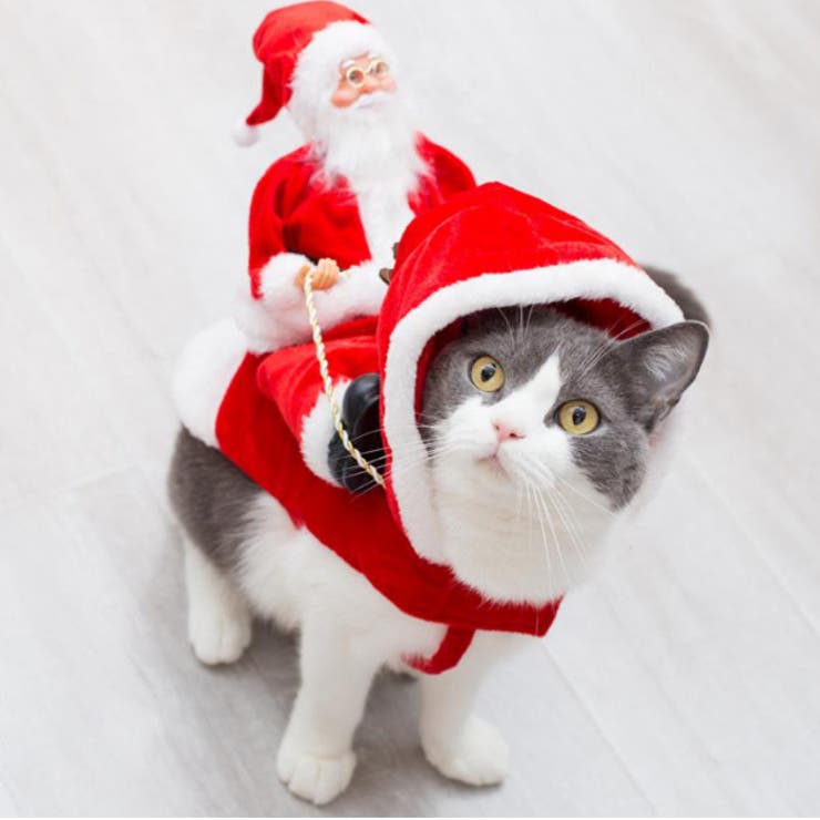 犬服 ドッグウェア クリスマス | CLARAH【WOMEN】 | 詳細画像7 