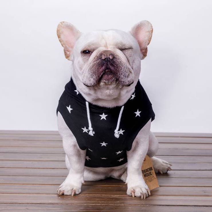 犬服 犬の服 ウェア | CLARAH【WOMEN】 | 詳細画像9 