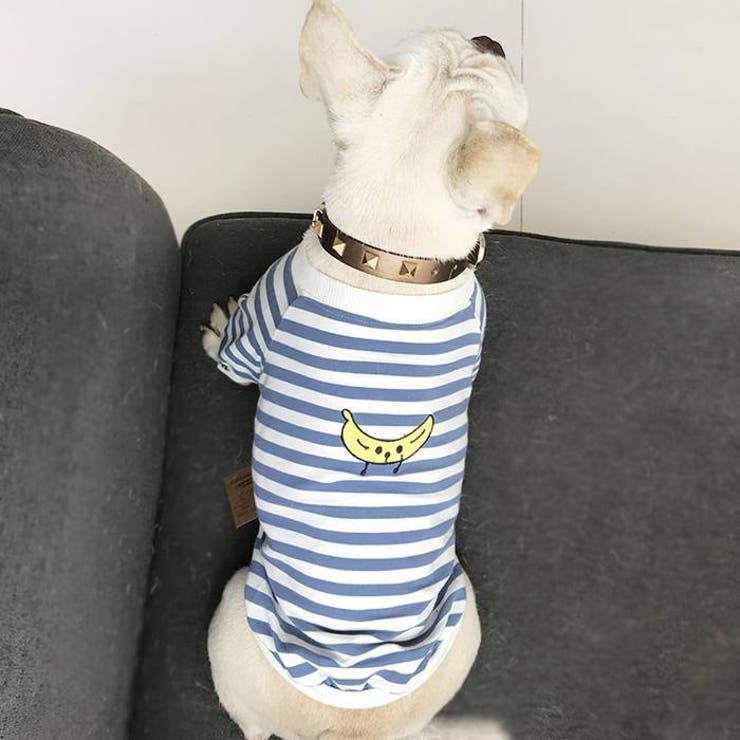 犬服 ドッグウェア ボーダー | CLARAH【WOMEN】 | 詳細画像9 