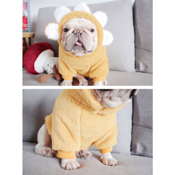 犬の服 ドッグ 犬服 | CLARAH【WOMEN】 | 詳細画像4 