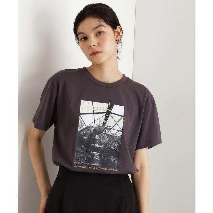 カレッジ＆フォトプリントTシャツ【洗濯機OK】 | THE SHOP TK | 詳細画像9 
