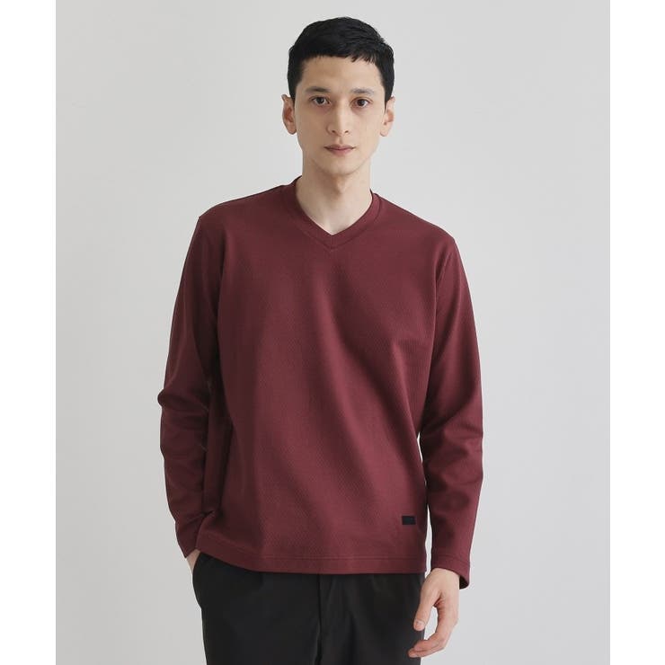 ボルドー(064) | 【尾州織】ブリスタ Vネック カットソー | TAKEO KIKUCHI